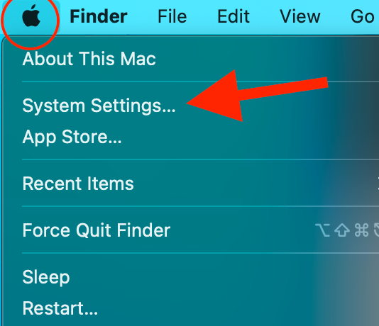 Disable Find My on Device Step 3